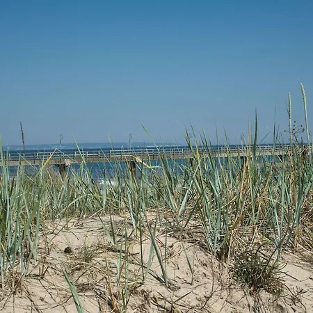 Tiny Nr 815 غورين